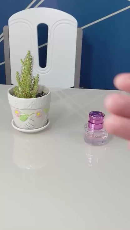 Perfumeros Recargables Mini Perfume Recargable 5ml